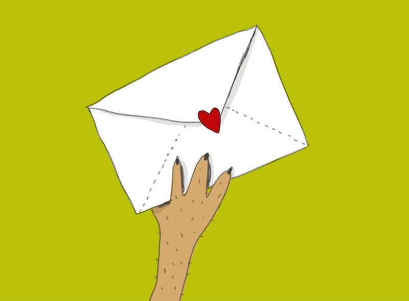 KokoKiezgruen_Newsletter-min